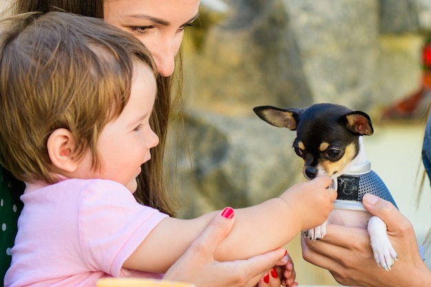 A small child gets acquainted with a dog