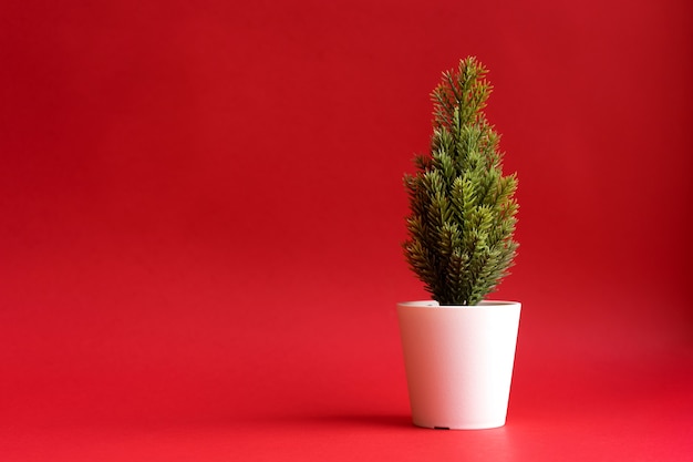 Small Christmas tree on a red background.