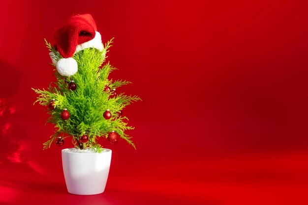 Small Christmas tree with decoration on red background in a santa hat copy space