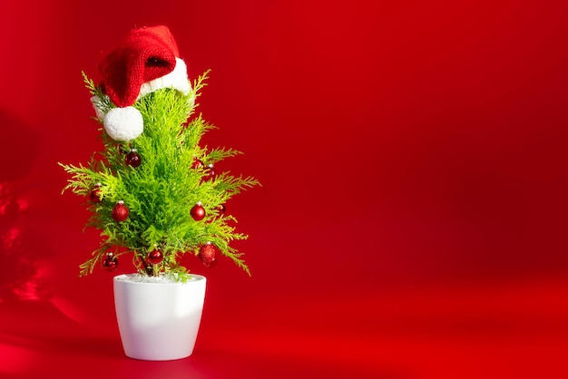 Small Christmas tree with decoration on red background in a santa hat copy space