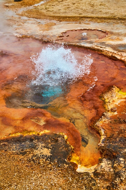 Small and colorful Yellowstone geyser bubbling in spring