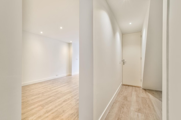 A small corridor leading inside the apartment