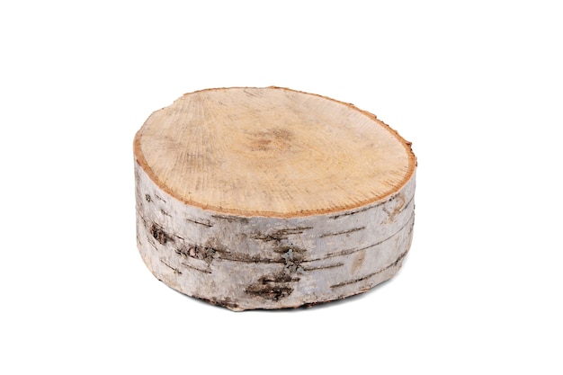 A small cut of a light-colored birch tree, covered with bark and lesions, isolated on a pure white background.