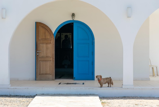 A small dog guards the entrance to the church