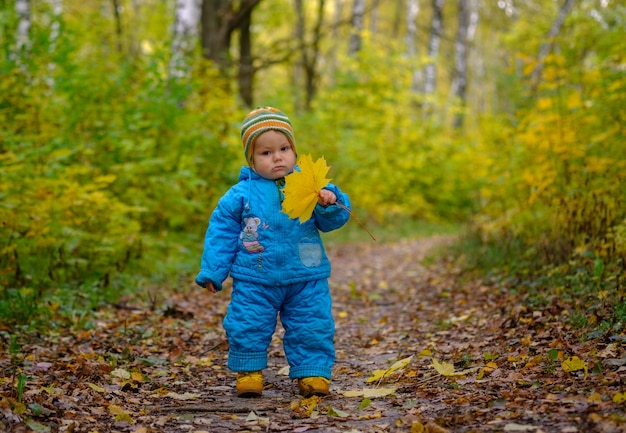 Small European boy with a yellow maple leaf in autumn forest