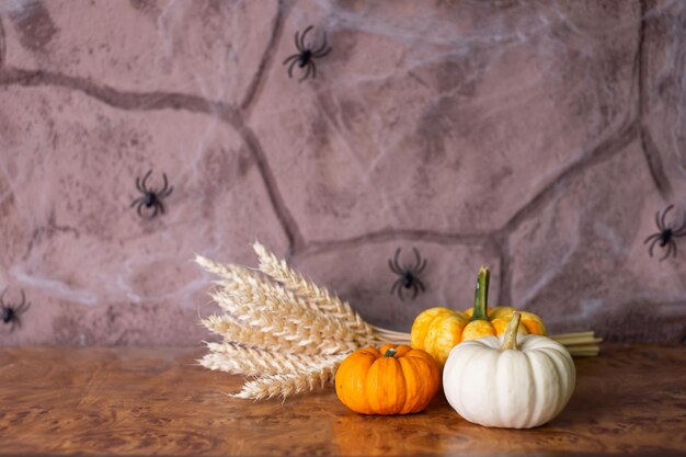 Small festive pumpkins lie on the table with a bouquet of yellow ears and spiders on the wall