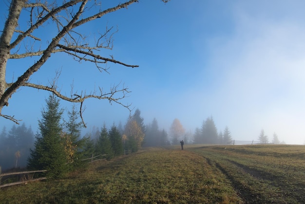 Small figure of lonely hiker enjoying his time on wild forest trail on foggy autumn day