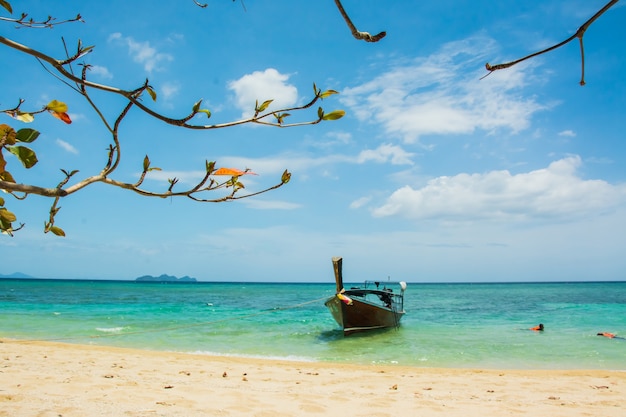 Small Fishing Boats in Thailand