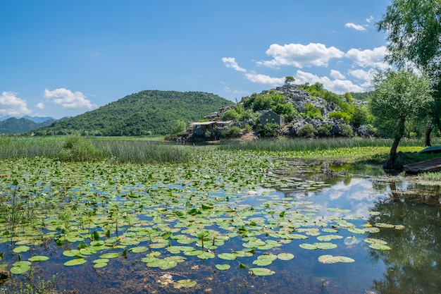 A small fishing village is located on the banks of the picturesque river