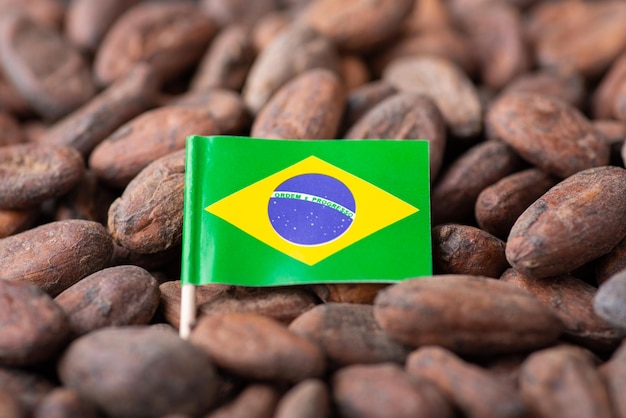 Small flag of Brazil in cocoa beans