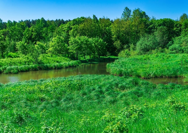 Small forest river between banks with fenmeadows