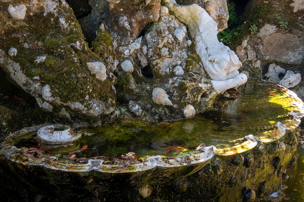 Small fountain in Quinta da Regaleira