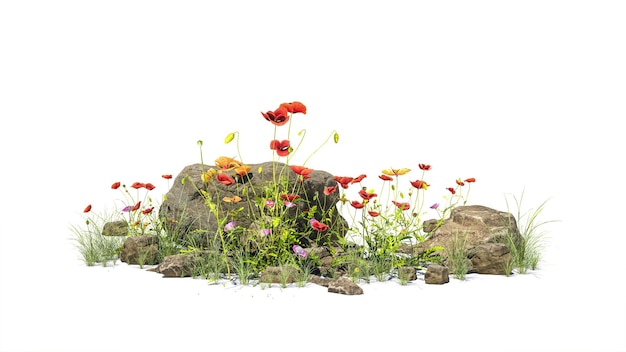 Small garden consists of stone bush and flowers with isolated background