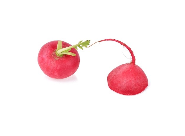 Small garden radish isolated on white background