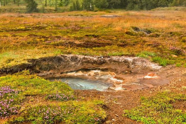 Small Geothermal Spring at Geysers Valley Iceland