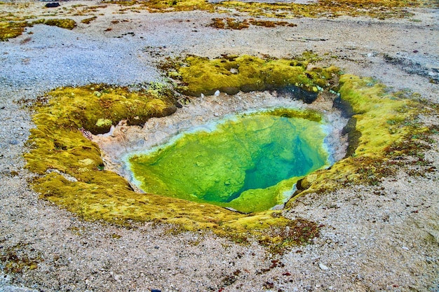 Small geyser filled with green alkaline water in Yellowstone