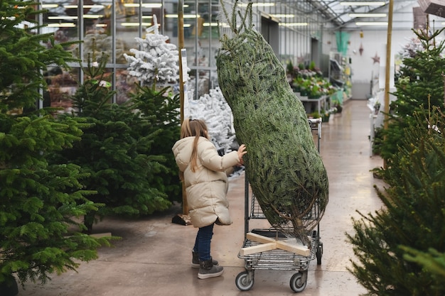 Small girl chooses a Christmas tree in the market.