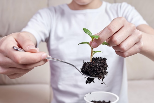 Small girl transplanting plant seedlings into new pot at home