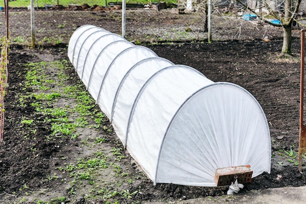 Small greenhouse in country garden in spring