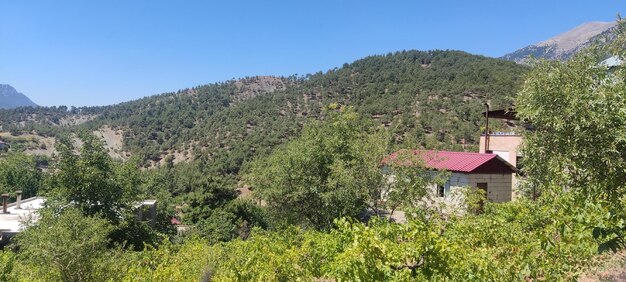 small house in the mountains