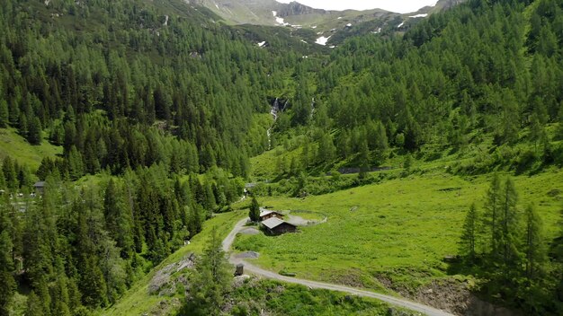 A small house sits on a hill in a forest.