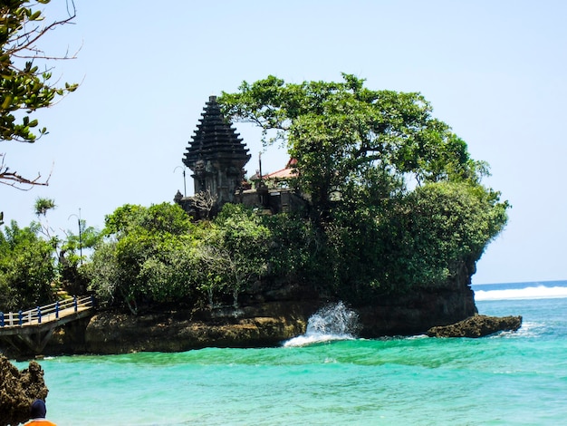 Photo a small island with a tree on the top of it