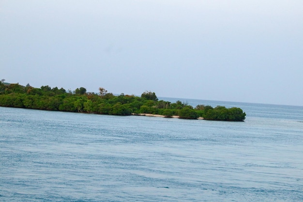 Photo a small island with trees on the water and a small island in the middle