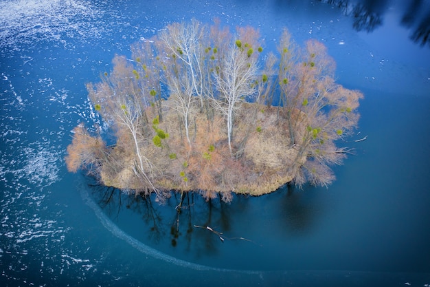 A small island with trees without leaves and orange dry vegetation, in the center of Hammers Lake, drone view.