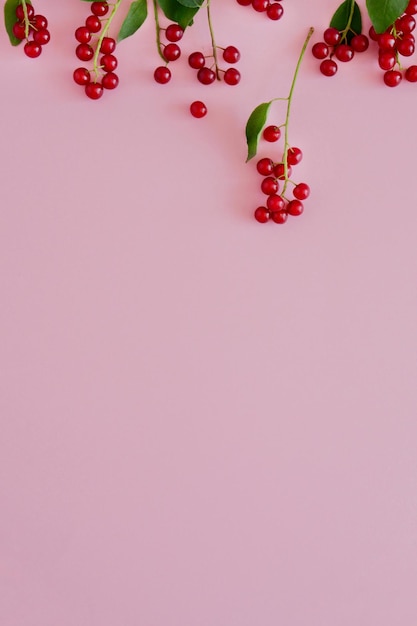 Small juicy red berries in a row on a pastel pink background with copy space for text