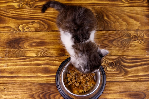 Small kitten eating his food from metal bowl on wooden floor