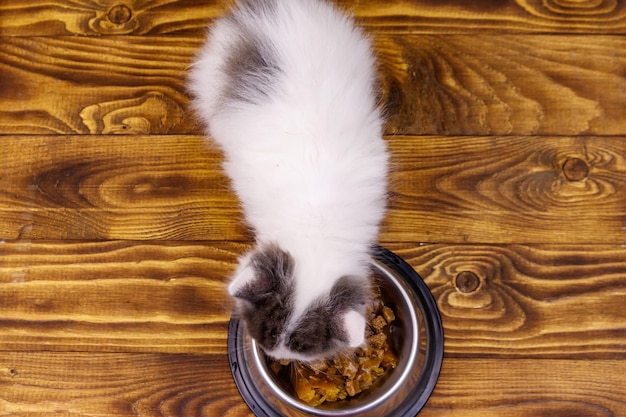 Small kitten eating his food from metal bowl on wooden floor