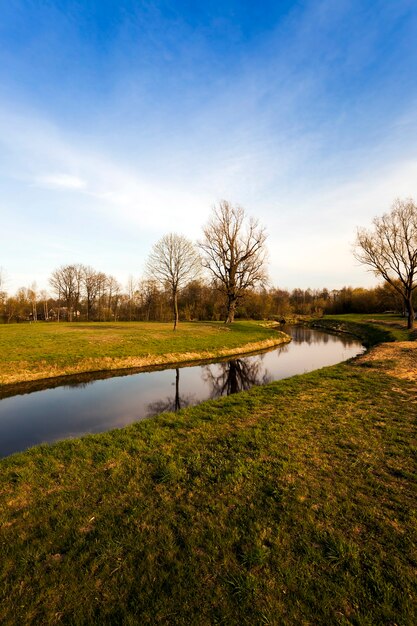 A small lake, photographed in the summer ,spring, season