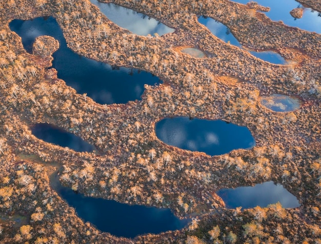 Small lakes with blue water in the autumn swamp view from top