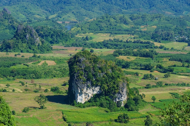 Small mountain on the field in Thailand