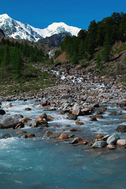 Small mountain river against the backdrop of mountains and a glacier in sunny day