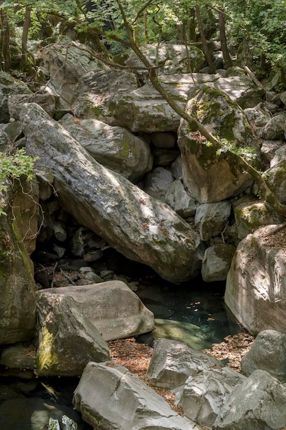 A small mountain river flows on a sunny summer day Greece