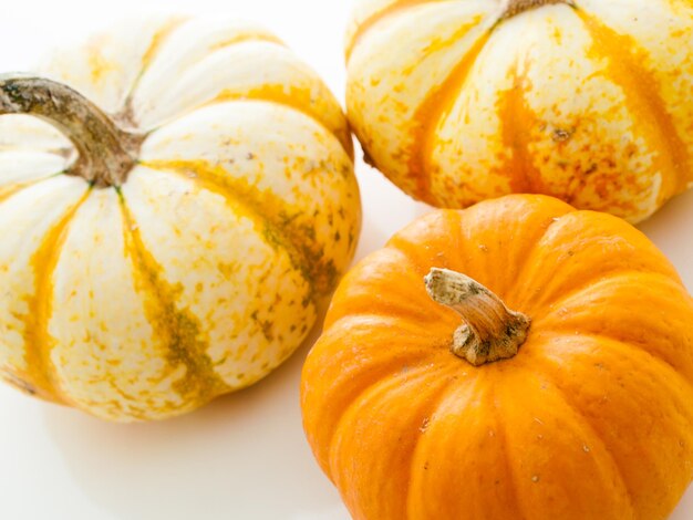 Small multi-color pumpkins on white background.