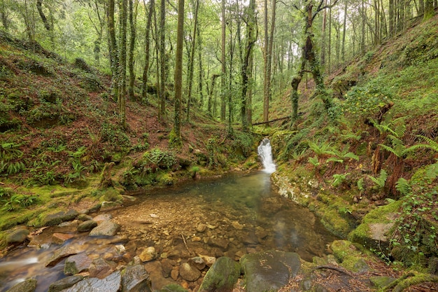 Small natural pool formed by a river in a beautiful forest in the area of Galicia, Spain.