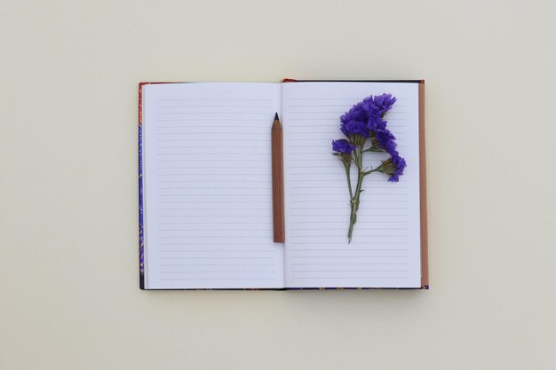 A small notebook with a pencil on it