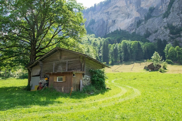 Small old hut settling in the middle of green landscape and forest in Lauterbrunnen