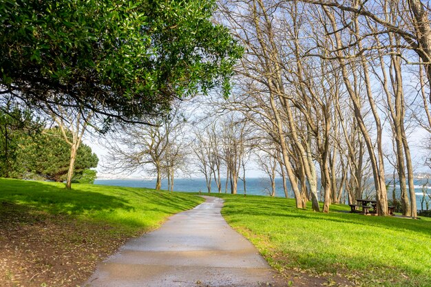 Small path in a natural park surrounded by trees for exercise and running