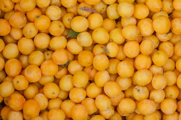 Small plums for sale at farmers market. Georgia