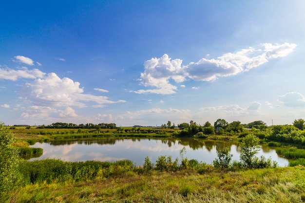 Small pond with green plants and clouds on the blue sky