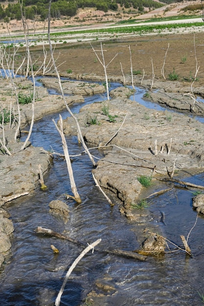 Small pool of water in a field of dry and cracked earth Global warming and greenhouse effect