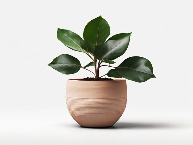 a small pot with a plant in it that is made by a plant