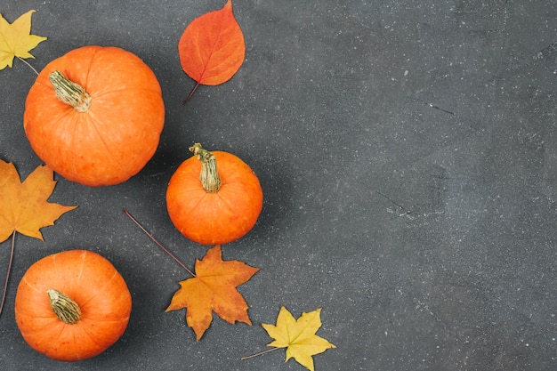 Small pumpkins and orange maple leaves on dark gray textured 