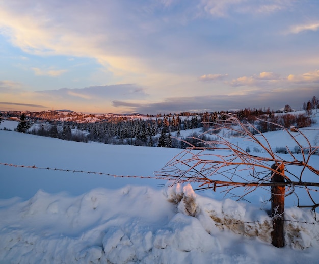 Small and quiet alpine village and winter sunrise snowy mountains around Voronenko Carpathian Ukraine