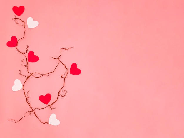 Photo small red and white hearts on dried veins