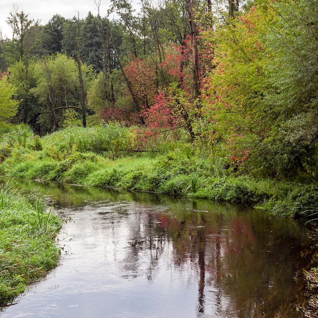 Photo a small river in the autumn season, some trees began to change the color of foliage, the landscape