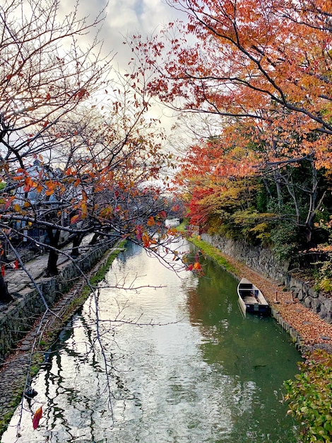 Small River in Little Japanese Town Autumn Time